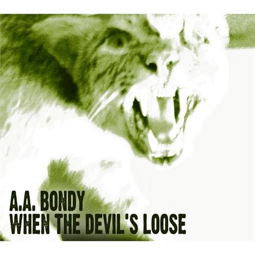 A.A. Bondy When the Devil's Loose (LP)